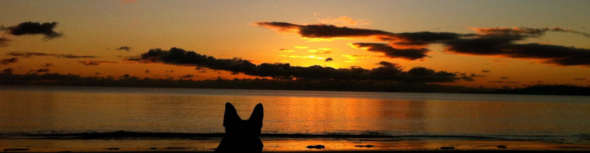 株式会社ビーネ